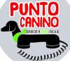 Punto canino