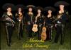 Foto de Mariachi sol de veracruz